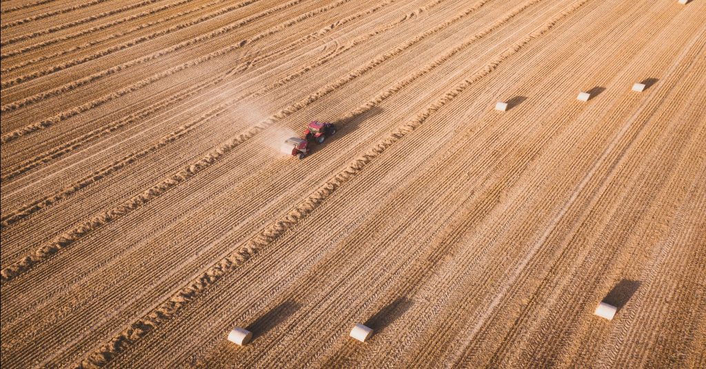 Fall tillage richmond brothers