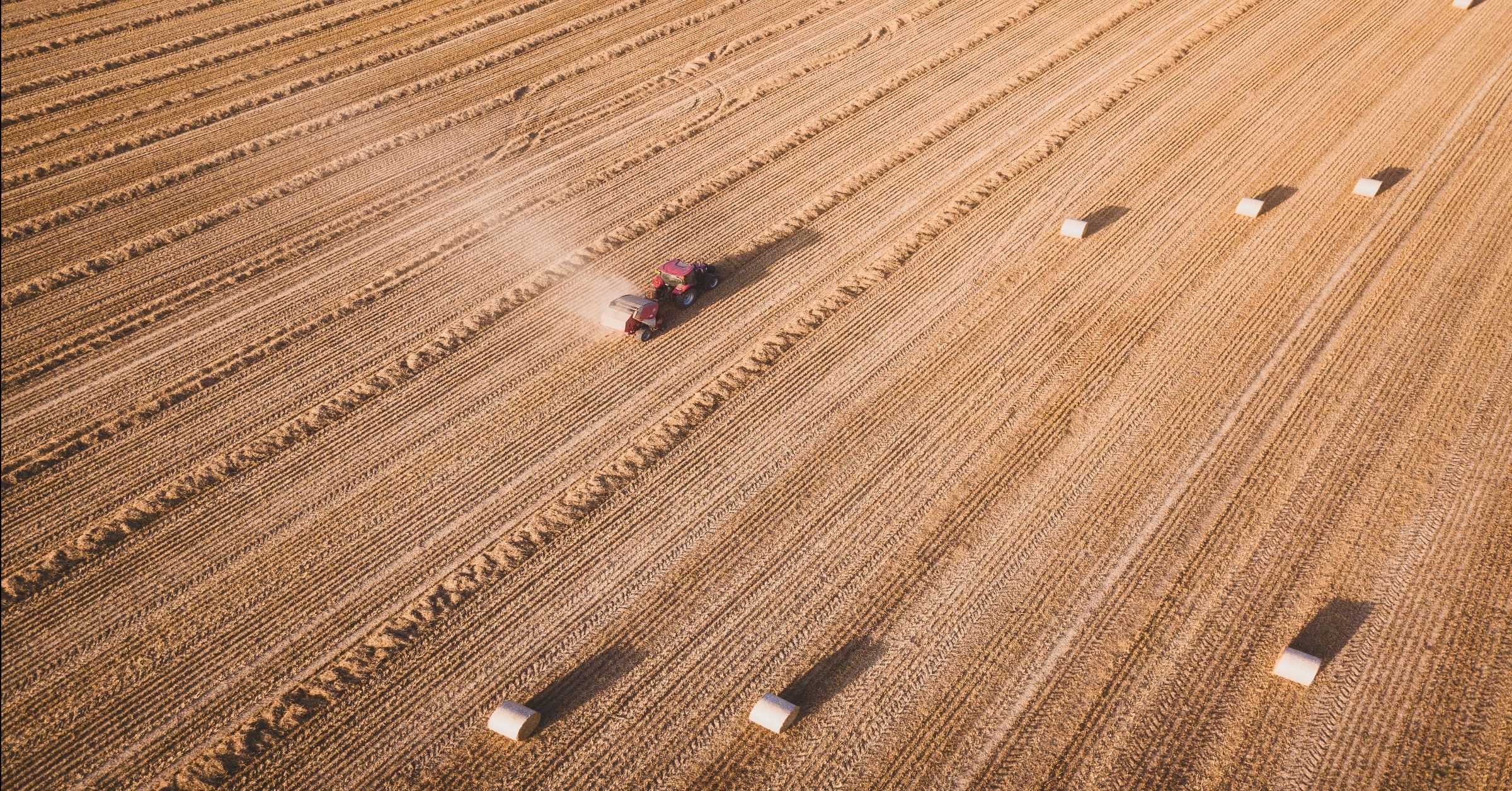 Fall tillage richmond brothers